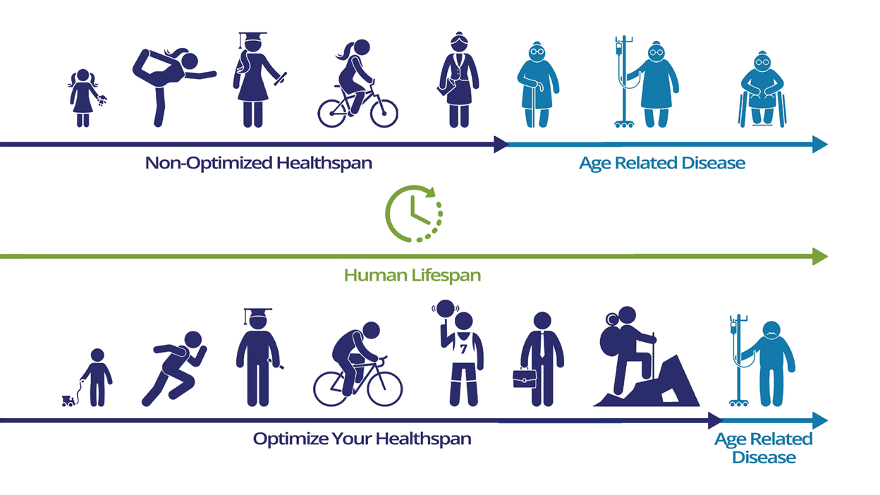 HealthSpan infographic comparing non-optimized healthspan with optimized healthspan across the human lifespan